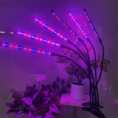 China FLOWER LED Plant Lamp Swan Neck Flexible Adjustable Mini Garden Plant Grow Light Automatic Timer for sale