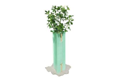 China Corflute Correx Tree Guards Protected Vine PP Corrugated Shelter for sale