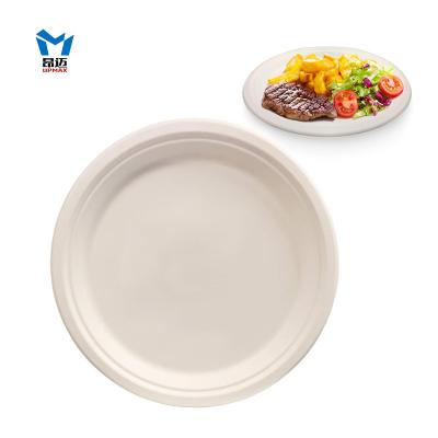 China Contemporary Compostable Lunch Dishes, Eco Friendly Natural Bagasse Dinnerware, 6 Inch 7 Inch Compostable White Dishes for sale