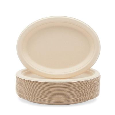 China Contemporary oval trays made from 100% natural sugar cane fiber, biodegradable heavy duty premium quality paper trays for sale