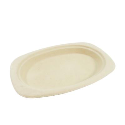 China Customized Green Disposable Compostable Biodegradable Paper Plate Sustainable Sugar Cane Dinner Dish for sale