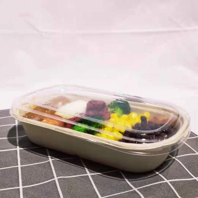 China Eco Sustainable Healthy Disposable Lunch Box Take Away Plastic Bento Lunch Boxes PP Lid Disposable Food Containers for sale