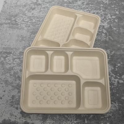 China Minimalist Customized Disposable 5 Compartment Tray With Lid Sugarcane Bagasse Food Container Custom Biodegradable Takeout Food Tray for sale