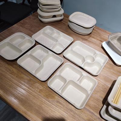 China Sustainable Hot New Products Cupboard Biodegradable Dishes Adult Size Biodegradable Dishes And Cups for sale