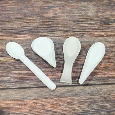 China 16 Cm Disposable Spoon Disposable Biodegradable Various Sizes Of Sugar Cane Bagasse Spoons for sale