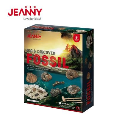 China Original Design Jeanny STEM Toys Educational Child Discover Fossil Excavation Kids Archeology Kit Toy for sale