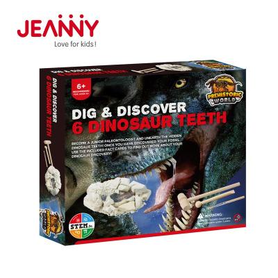 China STEM Original Dig And Discover Kits Educational Jeanny Design Archeology Toys Dinosaur Tooth Excavation Fossil Toys for sale