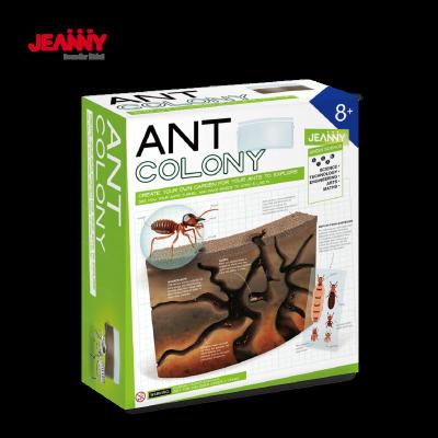 China Original Jeanny Design STEM DIY Open Kit Educational Toys Ant Farm Handmade Habitat Colony Science Toy Kit Children For Kids for sale