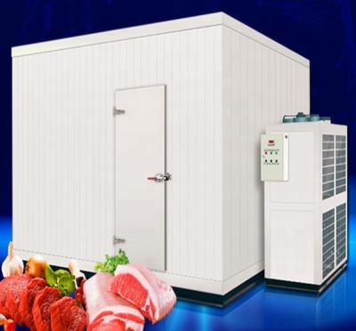 China New Design Professional Cold Room Container Double-temperature China Manufacturer Cold Room For Fish for sale