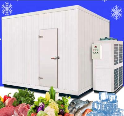 China Double-temperature cold storage room walk in cold room price for frozen fish for sale