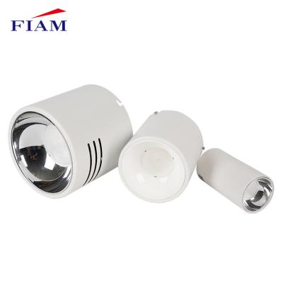 China Modern Zhongshan FIAM Lighting 7w 20w 30w 50w Aluminum Surface Mounted Round Led Down Lights for sale