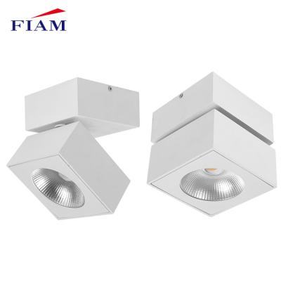 China Modern Energy Saving Outdoor Mounted Matrix COB 10watt 20watt Cast Aluminum Indoor Led Downlight for sale