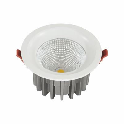 China Modern High Performance 30w Led Outdoor Mount Downlight Residential Downlights for sale