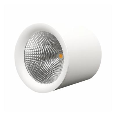 China 2021 Modern Newcomer Led Downlight RGB Recessed Ceiling Lamp Dimmable Led Downlight for sale