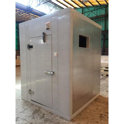 China Solar Powered Cold Room Storage Meat And Fish Freezer Room for sale