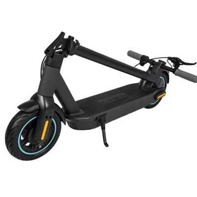 China High Quality Outdoor Sports Safety 10Inch 2 Wheels Big Wheel Electric Off Road Scooter 500W for sale