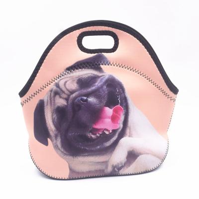 China Waterproof Neoprene Printed Insulated Lunch Bag Picnic Box Cooler Tote Bag With Zipper Wholesale for sale