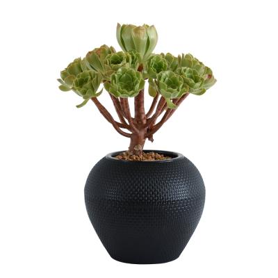 China Modern Outdoor Black Plastic Garden Round Flower Pots For Plants for sale