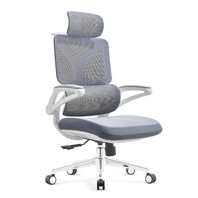 China Free Sample Adjustable (Height) Luxury Back Ergonomic Mesh Fabric Swivel Computer Office Chair Executive Commercial for sale