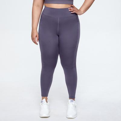 China Hot selling moisture absorption/perspiration yoga pants latest plus size unique polyester fiber yoga pants for sale