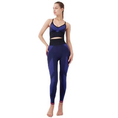 China Breathable Yoga Suit Active Wear Quick Drying Seamless Exercise 2 Pieces Set Women Fitness Suit for sale