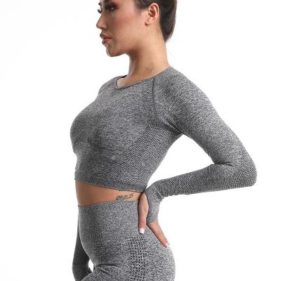 China Breathable Long Sleeve Sportswear Women Little Tight Waist Play Yoga To Use Indoor And Outdoor Fitness Jacket for sale