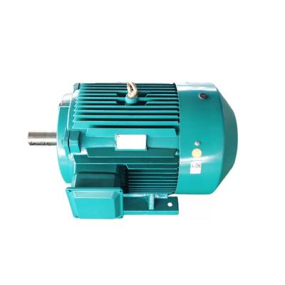 China drip-proof extended shaft motor 22KW motor 1470rpm 180L special custom motor for sale