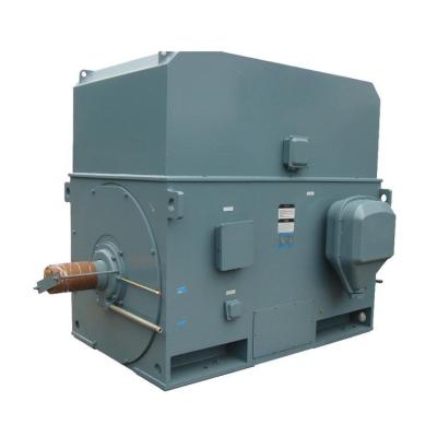 China Three Phase High Voltage Cage Motor High Voltage Squirrel Environmental Protection Motor AC Induction Motor for sale