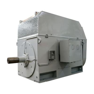 China 1600kw Environmental Protection 1600kw Squirrel Motor Box Type Three Phase Motor YKK Series High Voltage Squirrel Motor for sale