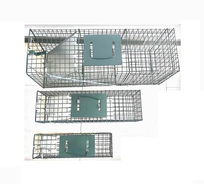 China Live Animal Trap Disposable Hook and Release for Pest Control Chipmunks Hoard Rats Weasels S/3 for sale