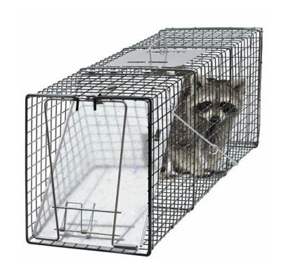 China Disposable Live Animal Trap Hook and Release for Pest Control for sale