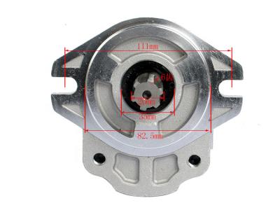 China 490 Forklift Parts Hydraulic Pump for HL@/490, CBT-F430-AFHL for sale