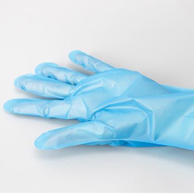 China Food Grade Intimate After-sales Full Palm Qualifications Adjustment Band Plastic Hand Glove for sale