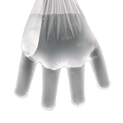 China Hot Sale Food Grade High Standard PE/CPE Plastic Disposable Gloves for sale