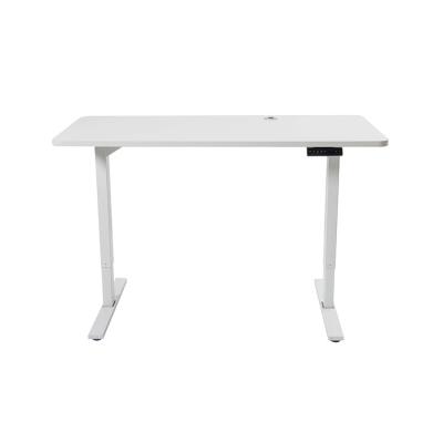 China (Size)Moden Furniture Motor Adjustable Standing Electric Double Mobile Standing Desk Best Selling View for sale