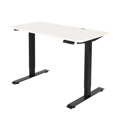 China Customized Modern Sit Stand Standing Desk Table Height Adjustable View (Height) Adjustable Two Motor New Design for sale