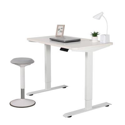 China Promotion Two (Height)Adjustable Motors Customized Height Adjustable Sit Stand Standing Desk Frame for sale