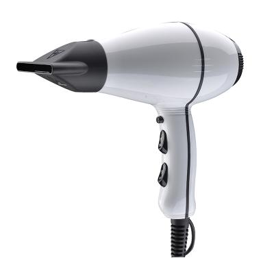 China A Professional AC Ionic Hair Dryer Fast Dry AC Hair Dryer DC Step Motor Salon Blow Dryer Low Noise Fan for sale