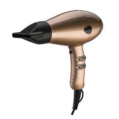 China New Design Hair Curler Hair Curler AC Ionic Motor Salon Professional Hair Dryer Hair Blower Fan for sale