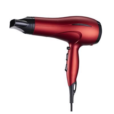 China Professional Ionic Motor Salon AC DC Hair Curler Straightener Hair Dryer Hair Blower Fan for sale