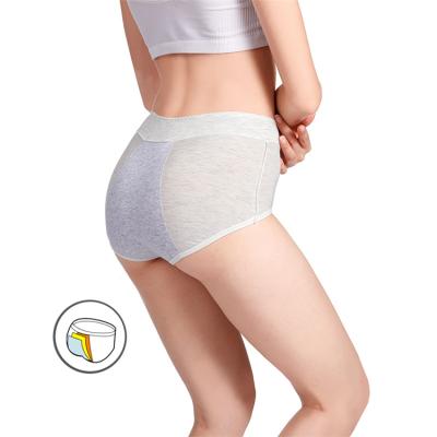 China Antibacterial Doesn't Roll High Waist Abdomen Hip Modal Plain Colored Menstrual Period Panties Girl Pants Women Period Underwear for sale