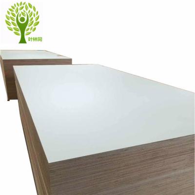 China Weifang Interior Yelintong Customized Big Size 5x10 Plywood For Special Application for sale