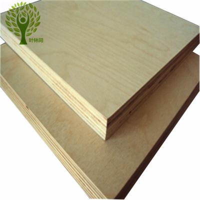 China Weifang Traditional Yelintong 19mm E2 Poplar Core Commercial Plywood for sale