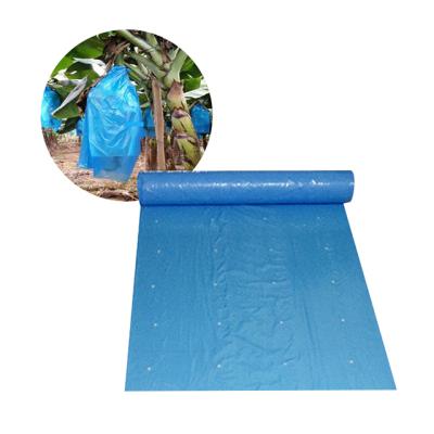 China Blue PE Polyethylene Plastic Banana Protection Bag Banana Group Agricultural Cover for sale