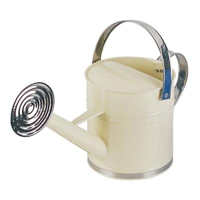 China Eco-friendly Colorful Metal Galvanized Metal Bucket Garden Pot Blow Box Large Pouring Watering Multifunctional Sprayer for sale