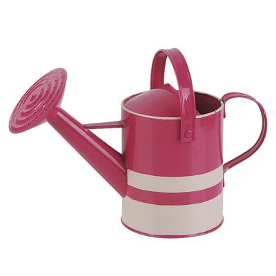 China Modern Colorful Galvanized Garden Watering Can Bucket Metal Hardware Powder Coated Watering Can Stick Garden Watering Can for sale