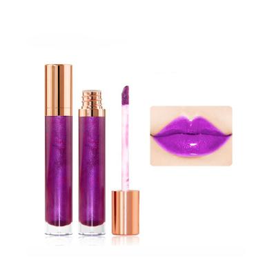 China High Waterproof Pigment Make Your Own Logo Clear Shimmer Lip Gloss Waterproof Shimmer Liquid Lip Gloss for sale