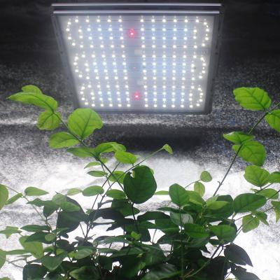 China Button Dimming Free Shipping Spectrum+660nm 150W 2021 Vertical Agriculture Led Grow Light Dongguan for sale