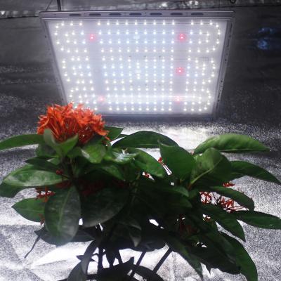 China Dimmable Commercial Full Spectrum 200W Dimming Knob Led Grow Light Spectrum Horticulture for sale