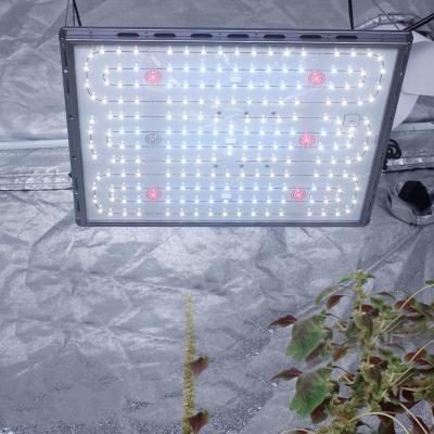 China Button Dimming Welit Hydroponics Full Spectrum 200W Greenhouse Grow Light Waterproof Adjustable Led Grow Board for sale